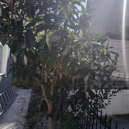 Agelikis' Apartments Nea Kallikrateia Exterior foto