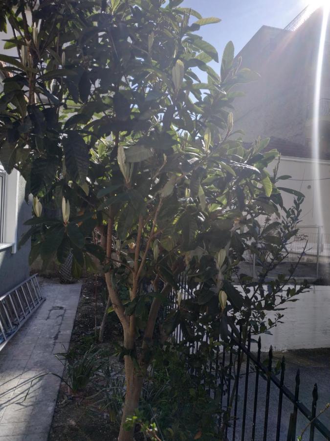 Agelikis' Apartments Nea Kallikrateia Exterior foto